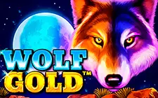 Wolf Gold